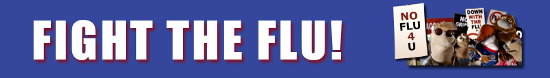 Fight the Flu